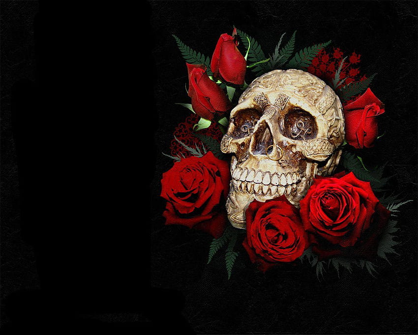 Skull And Roses Flower Skull Hd Wallpaper Pxfuel