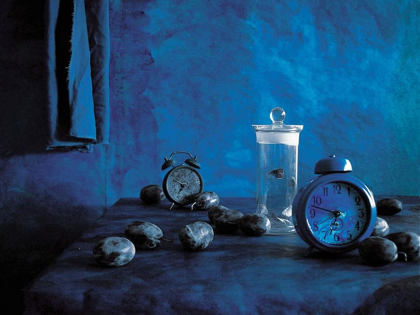 STILL LIFE IN BLUE, blue, moth trapped in a glass, plums, clocks HD wallpaper