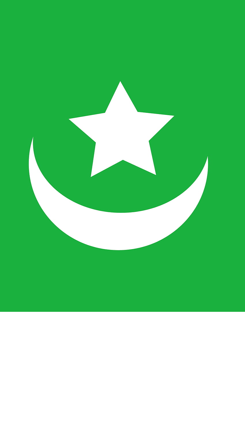 Pakistán, símbolo, Juego de calamares, Luna, Estrella, Independencia, 14 de agosto, Bandera, Verde, Agosto fondo de pantalla del teléfono