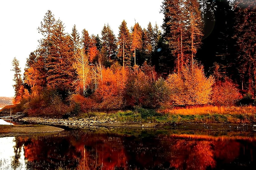 Jesienna sceneria, jezioro, przyroda, jesień, drzewa Tapeta HD