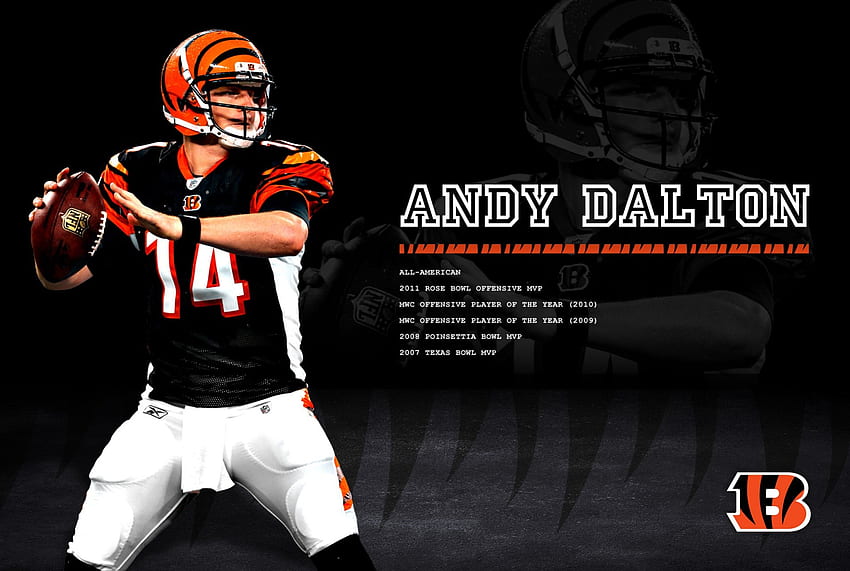 Andy Dalton Cincinnati Bengals qb, 19, 2012, qb, 10, esporte papel de parede HD