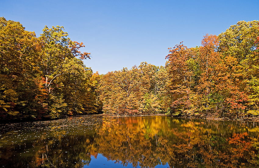 Beauty of autumn, reflection, colors, autumn, nature, water, lake ...