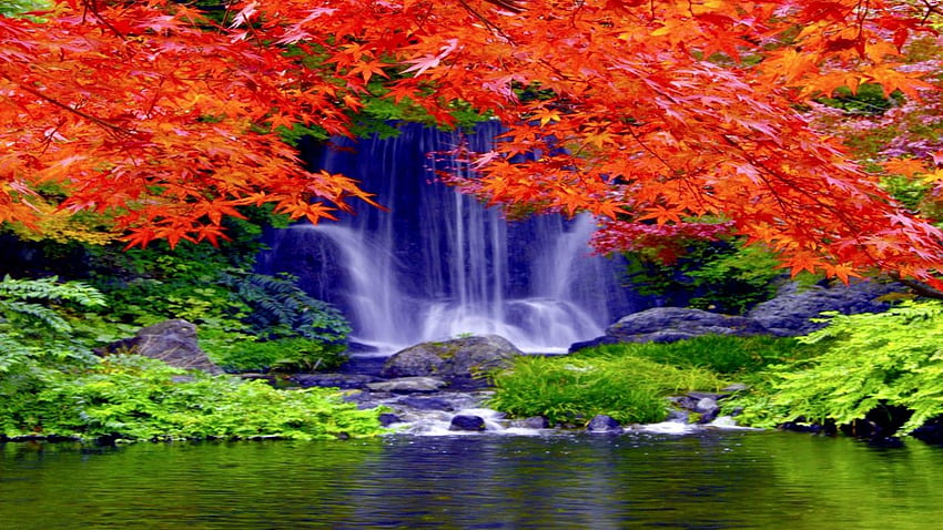 Waterfall Forest Falls Nature Waterfalls Autumn HD wallpaper | Pxfuel