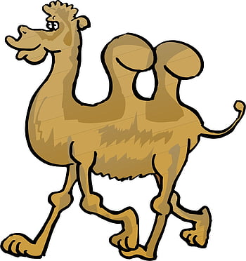 Camel cartoon HD wallpapers | Pxfuel