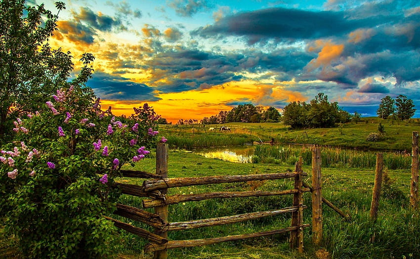 Spring Farm at Sunset and Background . HD wallpaper