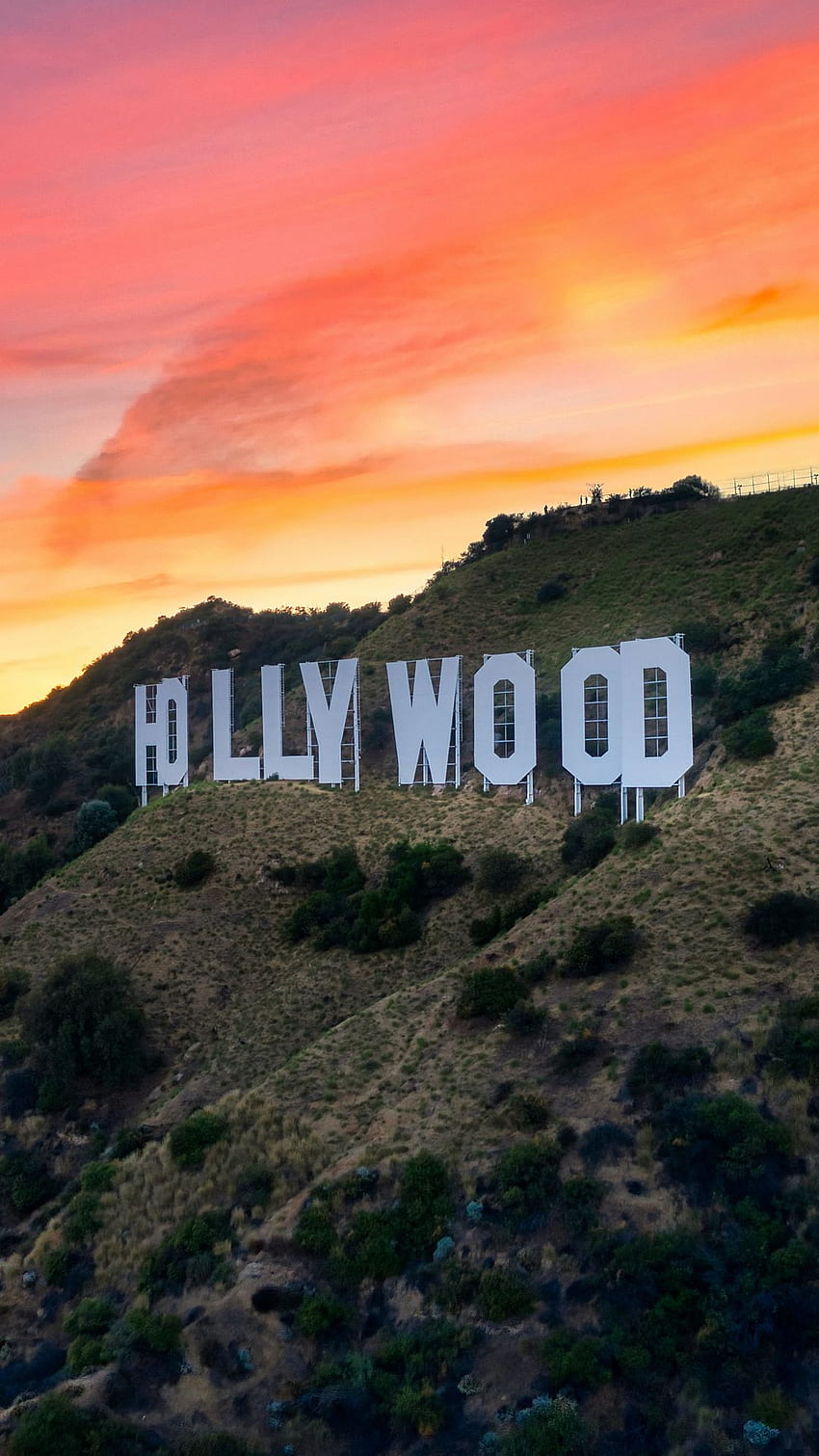 Hollywood, Los Angeles, Coucher De Soleil Fond d'écran de téléphone HD