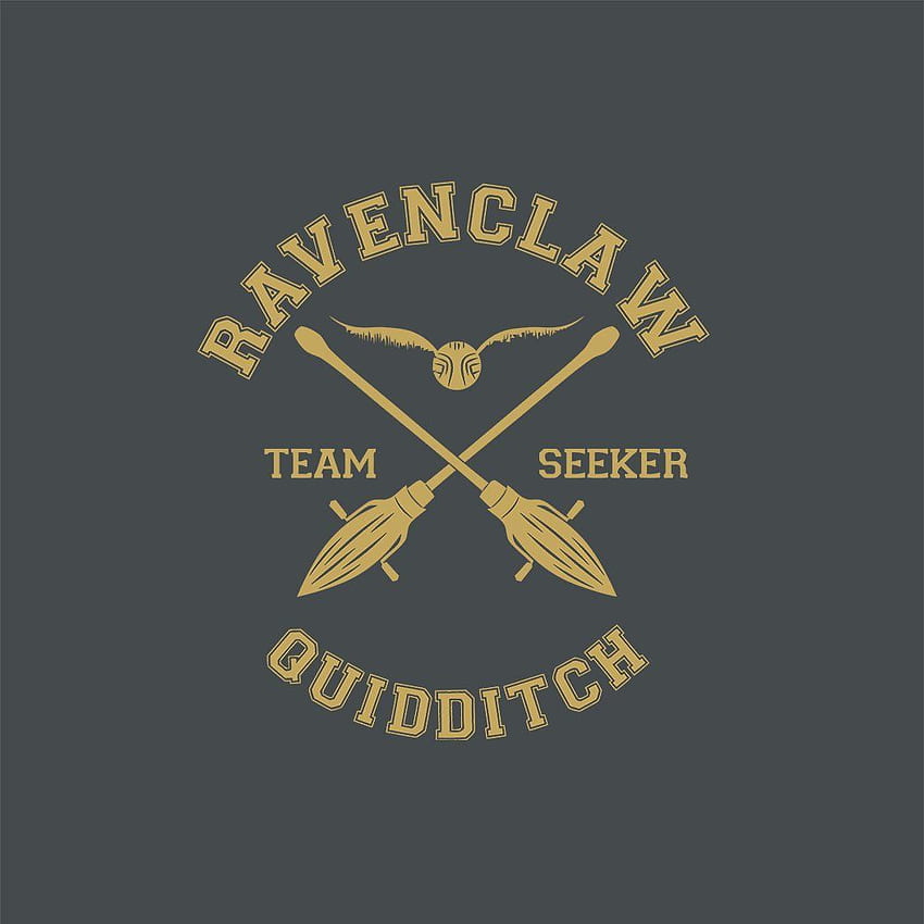 Harry Potter, Ravenclaw Quidditch HD telefon duvar kağıdı
