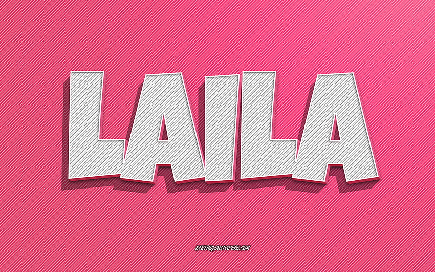 Laila, pink lines background, with names, Laila name, female names, Laila greeting card, line art, with Laila name HD wallpaper