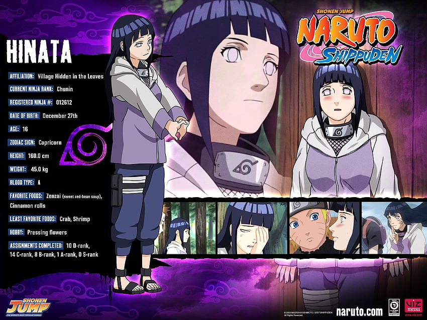 Naruto Hinata, Naruto Shonen Jump HD wallpaper