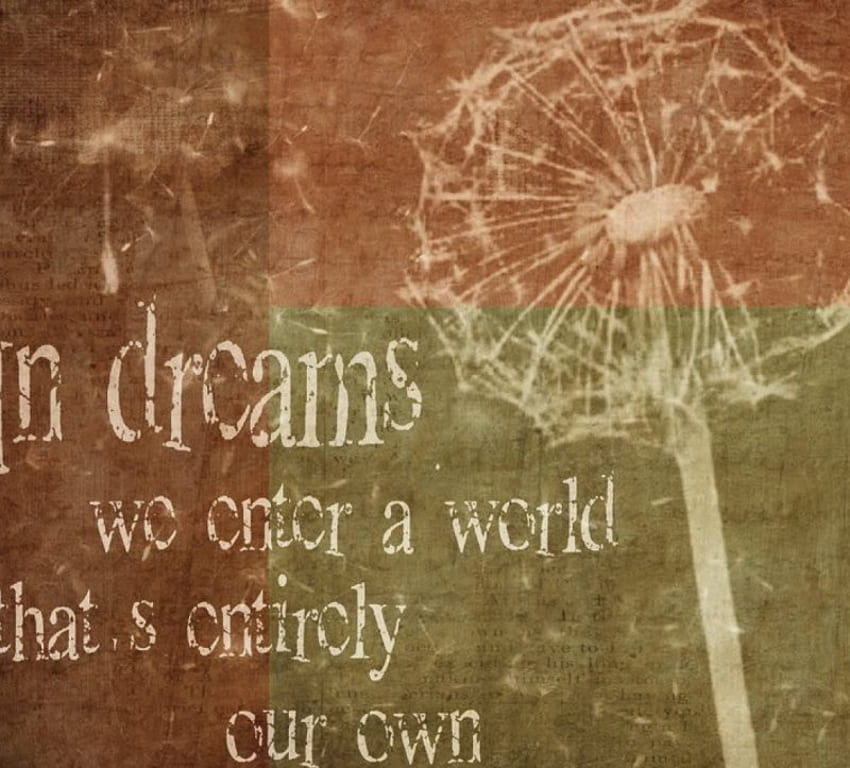 In Dreams, quote, squares, dreams, dandelion HD wallpaper