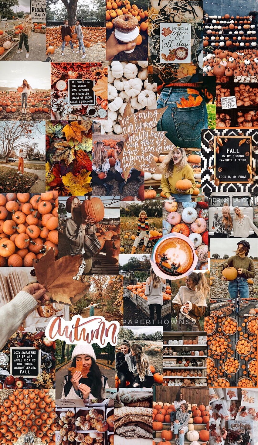 cute fall pictures tumblr