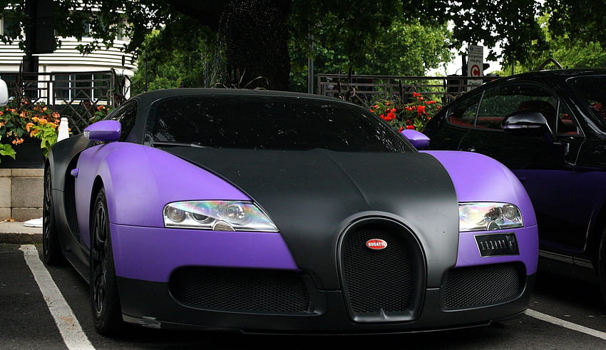 Bugatti Veyron - Bugatti Car In Purple HD wallpaper