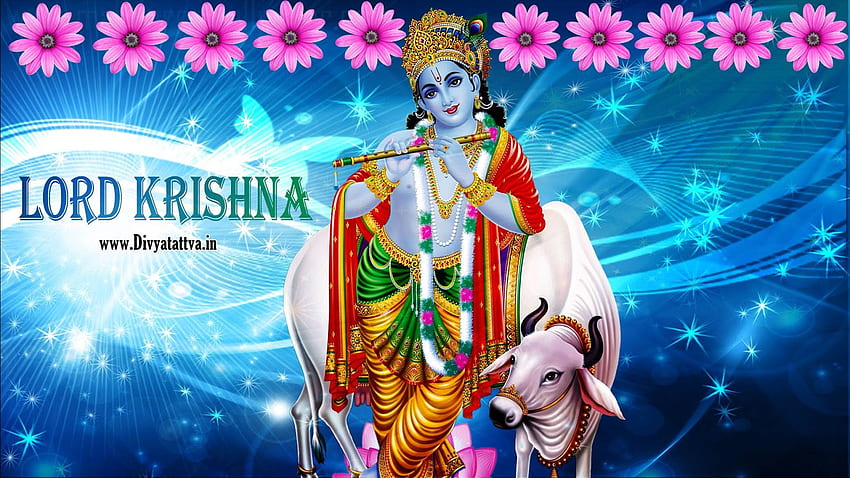 Lord Krishna Radha Govinda 배경, Jai Shri Krishna HD 월페이퍼