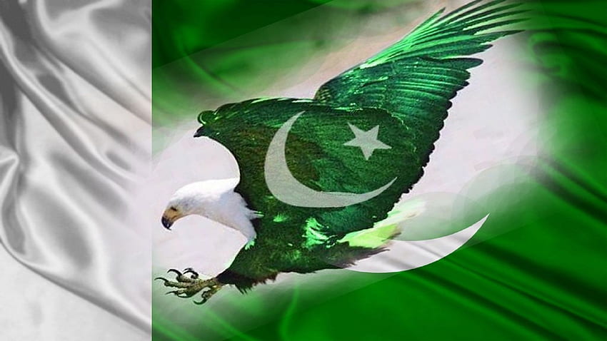 Águila bandera pakistaní fondo de pantalla