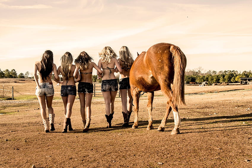 Best of Friends, brud, koń, brunetki, kowbojki, konie, blondynki, pole, drzewa, buty, przyjaciele, spodenki Tapeta HD