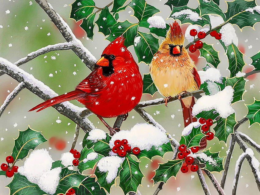 Snowy Perch - Cardinals, sweet, perch, birds, art, cute, beautiful, gathering, Snow, snowfall, branches, friends, cardinals HD wallpaper