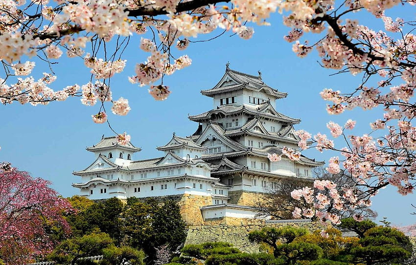 spring, Japan, flowering, Himeji castle for , section пейзажи, Japanese Castle HD wallpaper