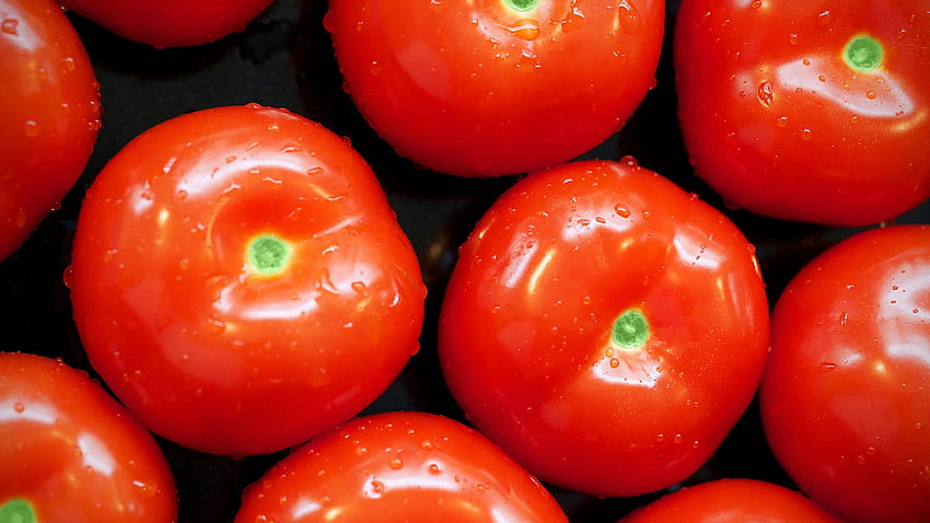 Food, Vegetables, Tomatoes HD wallpaper