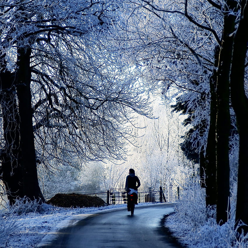 Winter Road Scene iPad Air HD phone wallpaper | Pxfuel