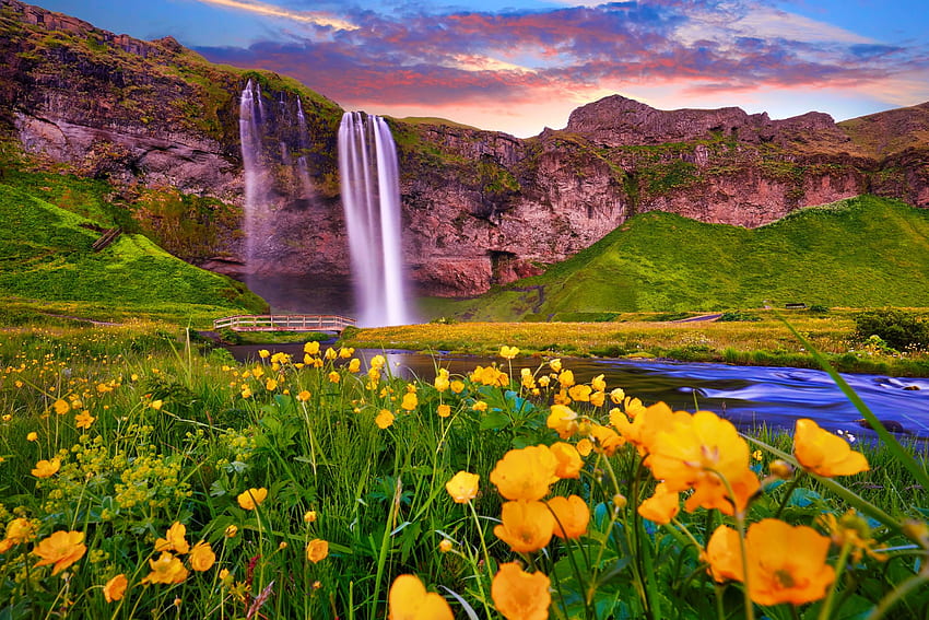 Incredibile tramonto su Seljalandsfoss, Islanda, fiori di campo, cascata, vista, bella, erba, rocce, tramonto Sfondo HD