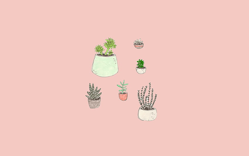 Aesthetic : Aesthetic Cactus. 3D - Art & Drawing Community : Explore & Discover the best and the most inspiring Art & Drawings ideas & trends from all around the world, Succulent Aesthetic HD wallpaper