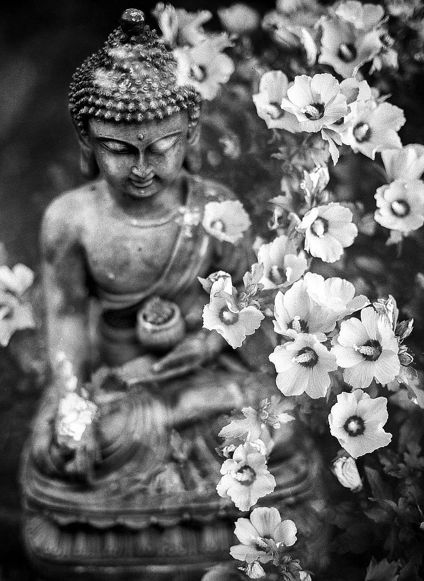 Buddha & [HQ]., Buddha Hitam wallpaper ponsel HD