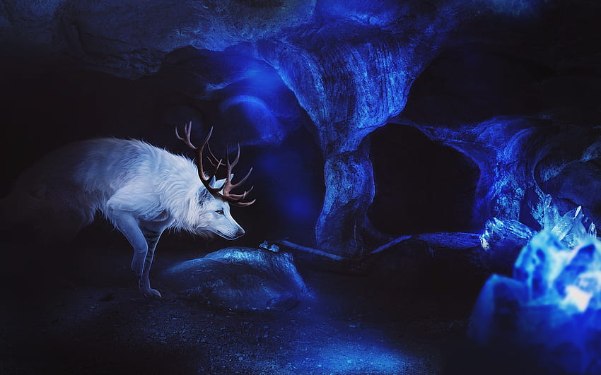 Fantasy wolf, blue, white, horns, fantasy, luminos, wolf, lup, fiirewolf HD wallpaper