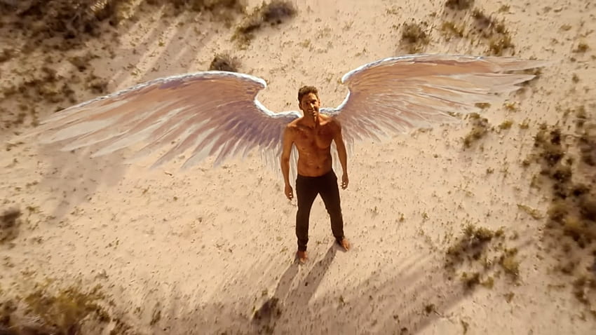 Lucifer 3. Sezon 1. Bölüm Geri Döndüler, Değil mi? Tam 180p - video Dailymotion, Lucifer Wings HD duvar kağıdı