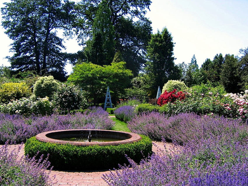 Natur, Blumen, Brunnen, Garten HD-Hintergrundbild