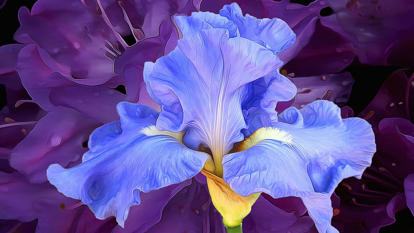 Blue Iris, Blue iris near the Pergola on Hampstead Heath PE…