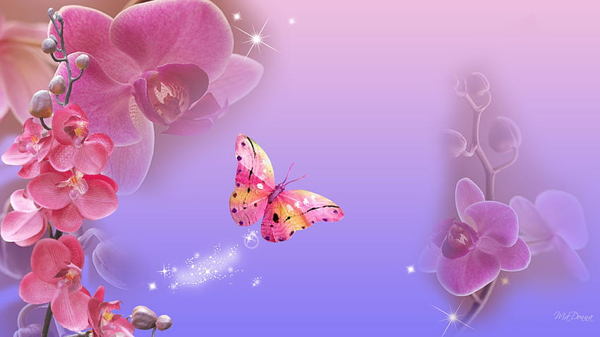 Pink Orchids and Butterfly Ultra . Background . HD wallpaper