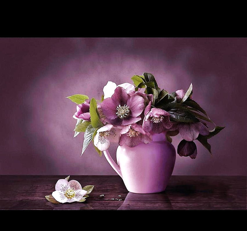 Лилава красота, ваза, лилави и бели цветя, зелени листа, листенца HD тапет