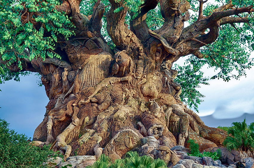 Fantastic Tree, roots, leaves, figures, trunk HD wallpaper