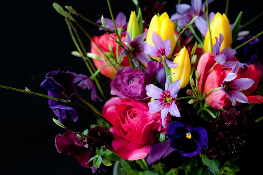 Flowers, Pansies, Tulips, Bouquet, Black Background, Ranunculus, Ranunkulus HD wallpaper