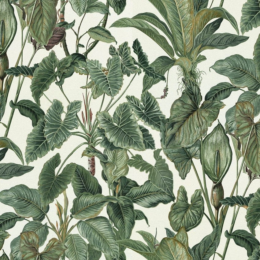 Erismann Paradiso Tropical Leaves Pattern Jungle Leaf HD phone wallpaper