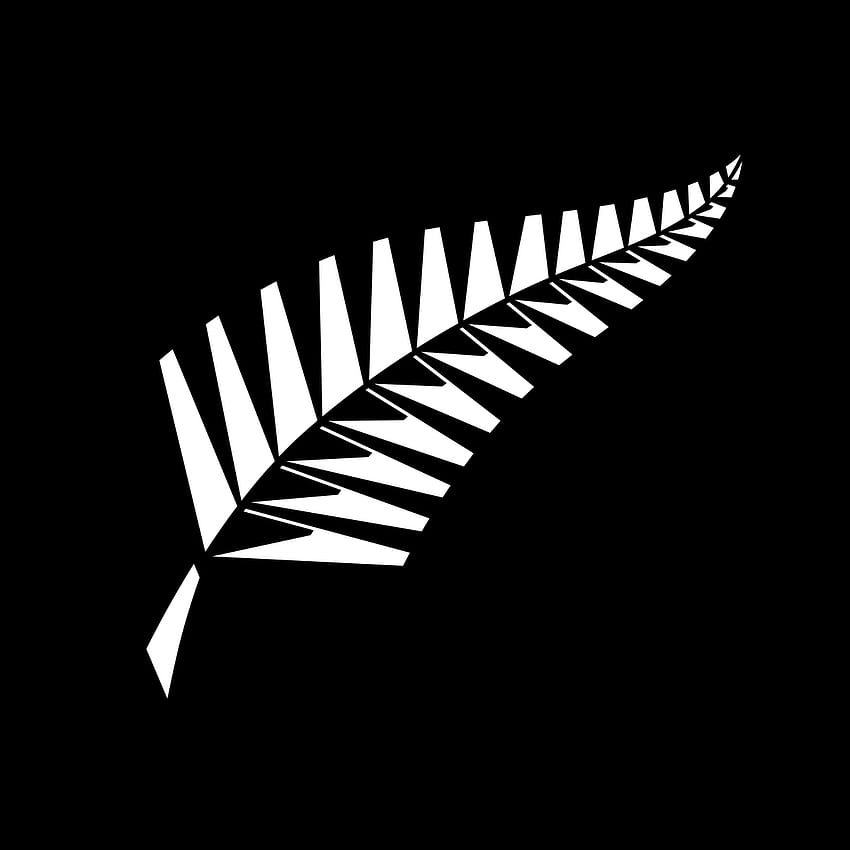 Yeni Zelanda milli kriket takımı, Yeni Zelanda All Blacks HD telefon duvar kağıdı