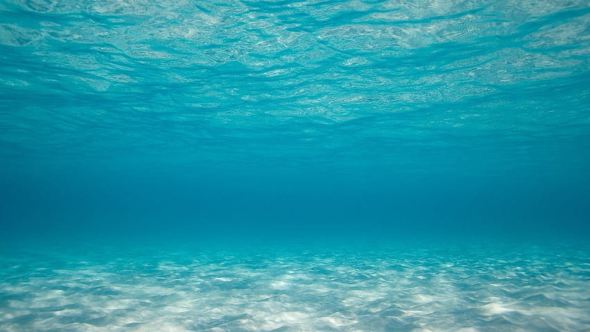 Океанско дъно, дълбоко море HD тапет