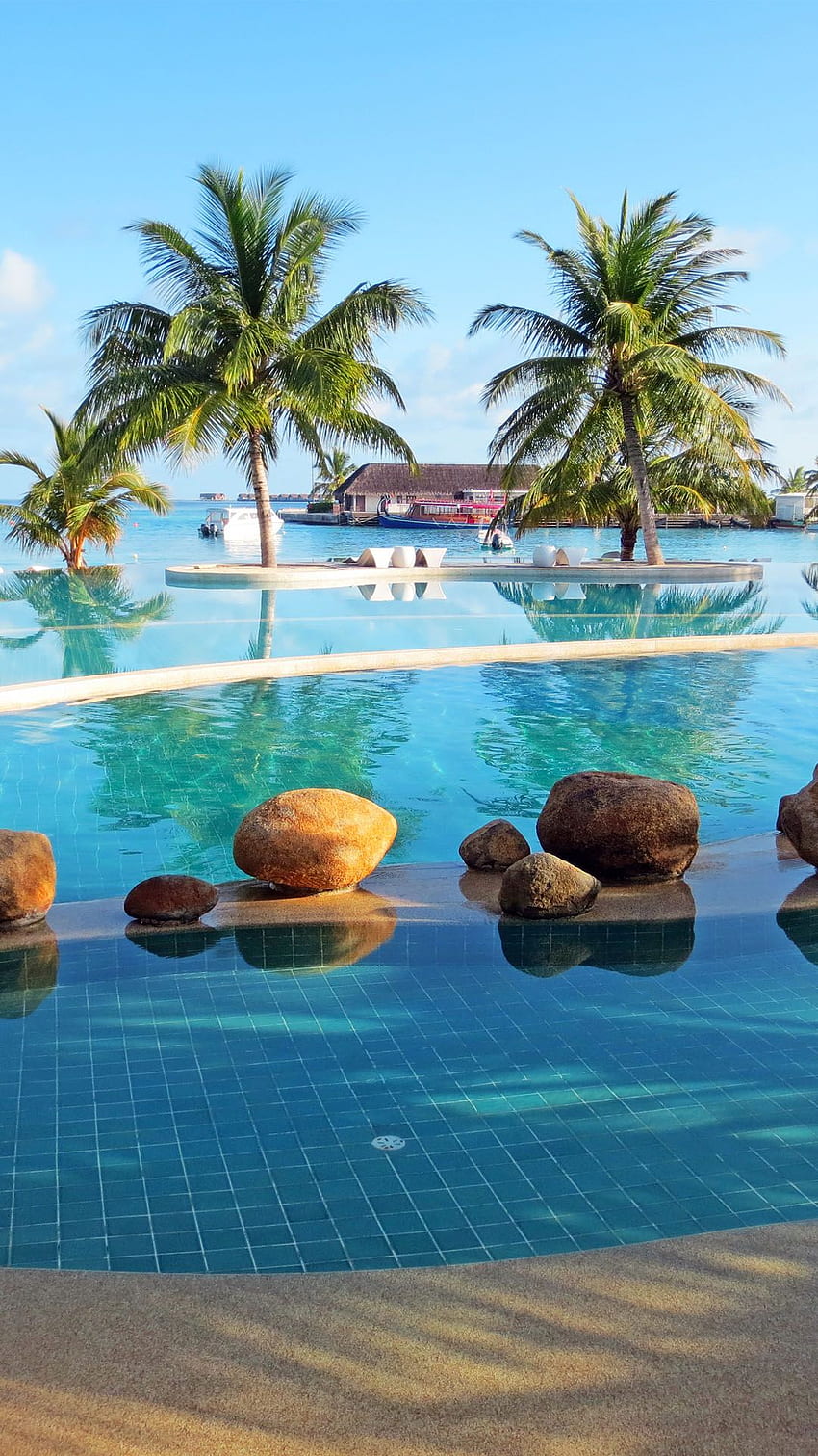 Holiday Inn Maldives Resor Kolam Pohon Palem Android wallpaper ponsel HD