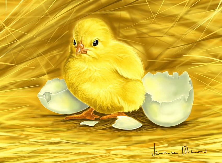 Chick, egg, sweet, animal, chicken, art, cute, beautiful, small, little, painting, pretty, yellow, broken, adorable, easter HD wallpaper