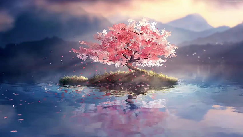 Lone Cherry Blossom Tree Live, Anime Sakura Blossom Sfondo HD