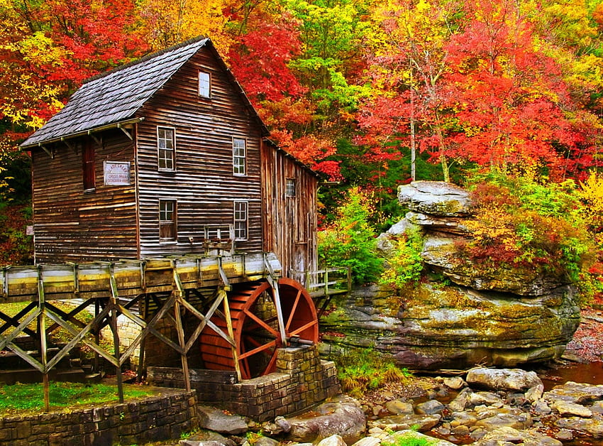 Forest water mill, river, creek, serenity, nice, quiet, autumn, water, mill, beautiful, water mill, stones, leaves, pretty, nature, lovely, calmness, forest, foliage HD wallpaper