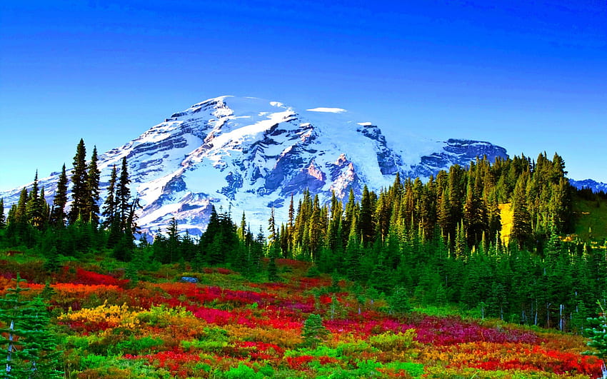 พรมสี ท้องทุ่ง ท้องฟ้า ดอกไม้ ป่า ภูเขา วอลล์เปเปอร์ HD