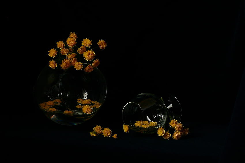 flowers & glass, art , still life, black background, glass, nature, yellow flowers, water HD wallpaper
