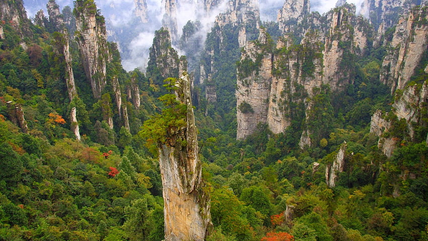 Area Pemandangan Wulingyuan, Gunung Tianmen, Taman Nasional Gunung Rainier, Taman Nasional, Taman, Latar Belakang - Wallpaper HD