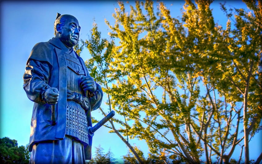 Der Shogun Tokugawa Ieyasu HD-Hintergrundbild