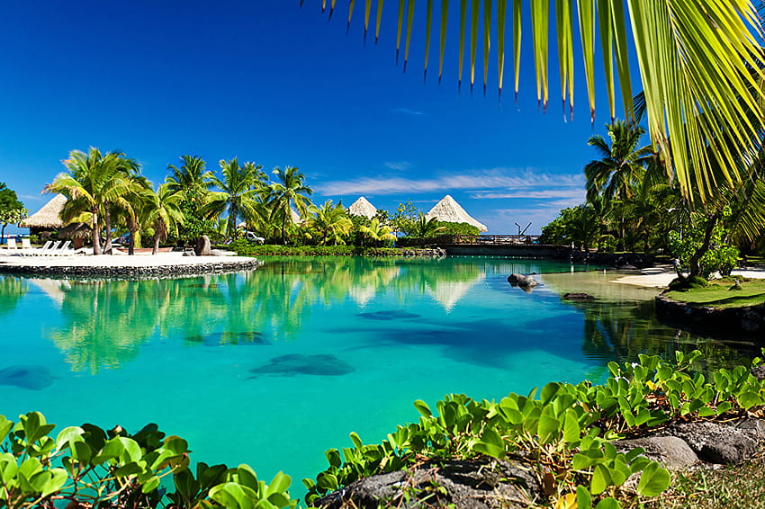 Bora Bora Polinesia Francesa Bungalow Naturaleza Zona intertropical palmera fondo de pantalla