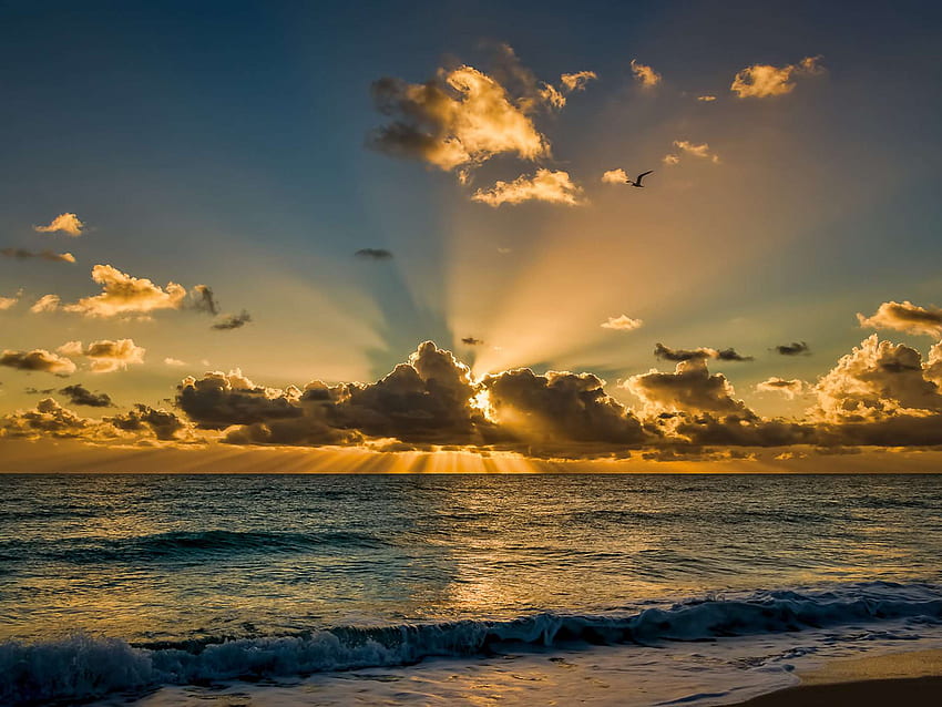 Zachód słońca w Miami Beach, wschód słońca na Florydzie Tapeta HD