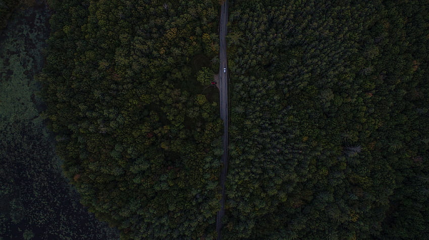 Trees, View From Above, Dark, Road, Forest HD wallpaper
