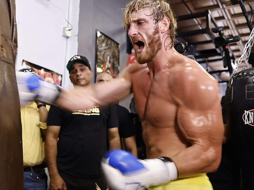 Boxing Floyd Mayweather vs Logan Paul rules, YouTube star looks insane in training, Jake Paul Boxing HD wallpaper