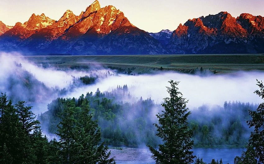 Parc national de Grand Teton à l'aube, Wyoming, terre, lumière du jour, jour, brouillard, conifères, canyon, arbres, blanc, orange, wyoming, montagne, aube, vert, vallée, nature, ciel, forêt Fond d'écran HD